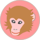 Illustration:Monkey