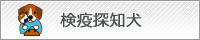 検疫探知犬