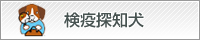 検疫探知犬