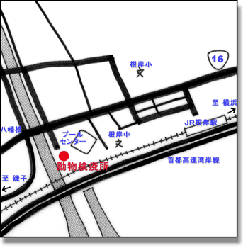 動物検疫所（本所）の地図