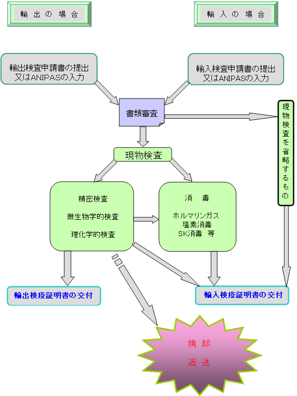 検査の流れ