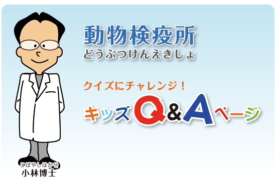 Kids Q&A 表紙