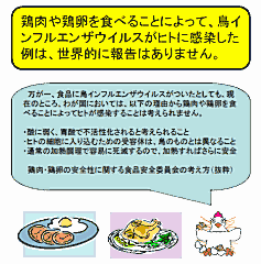 鳥インフルエンザパンフレット