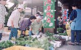 市の紹介あれこれ