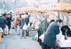 市の紹介あれこれ