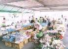 市の紹介あれこれ