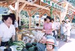 市の紹介あれこれ
