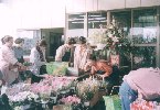 市の紹介あれこれ