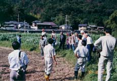 現地検討会