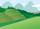 中山間地域の活性化
