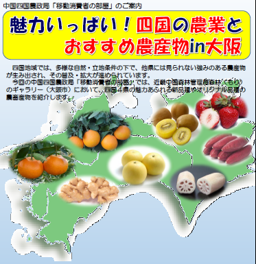 移動消費者の部屋チラシ