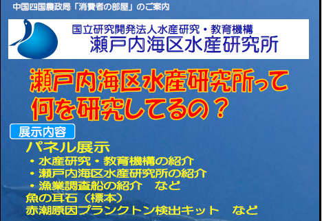 消費者の部屋チラシ