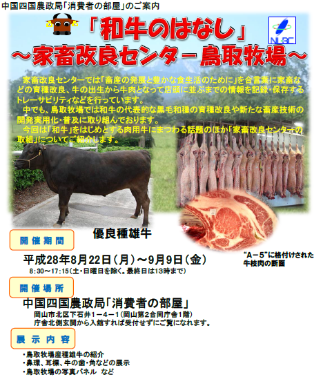 消費者の部屋チラシ