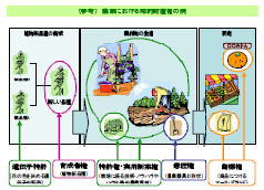 農業における知的財産権の例