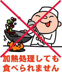 正解♪