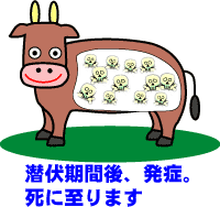 正解♪