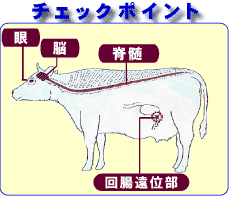 残念でした。