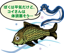 正解♪