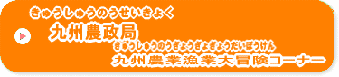 きゅうしゅうのうせいきょくこどものコーナー