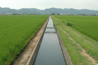【写真】中国・四国地方の水路