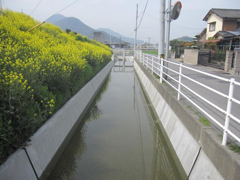 【写真】補修・改修した用水路