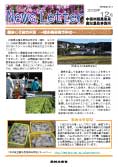 高知版2009年12月
