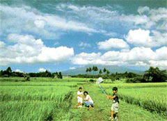 田園風景