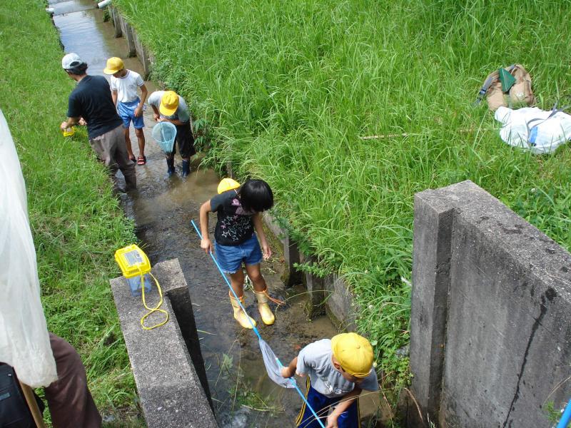 ふるさとの水辺生き物教室風景