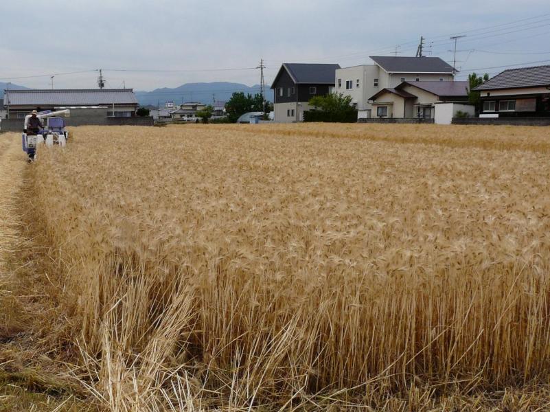 mugaiari20090515-2