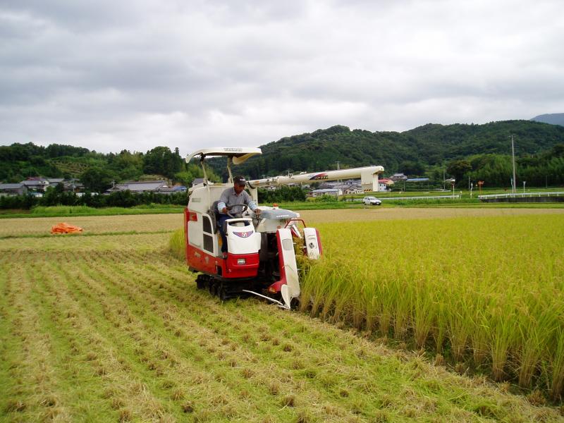 inekariainan