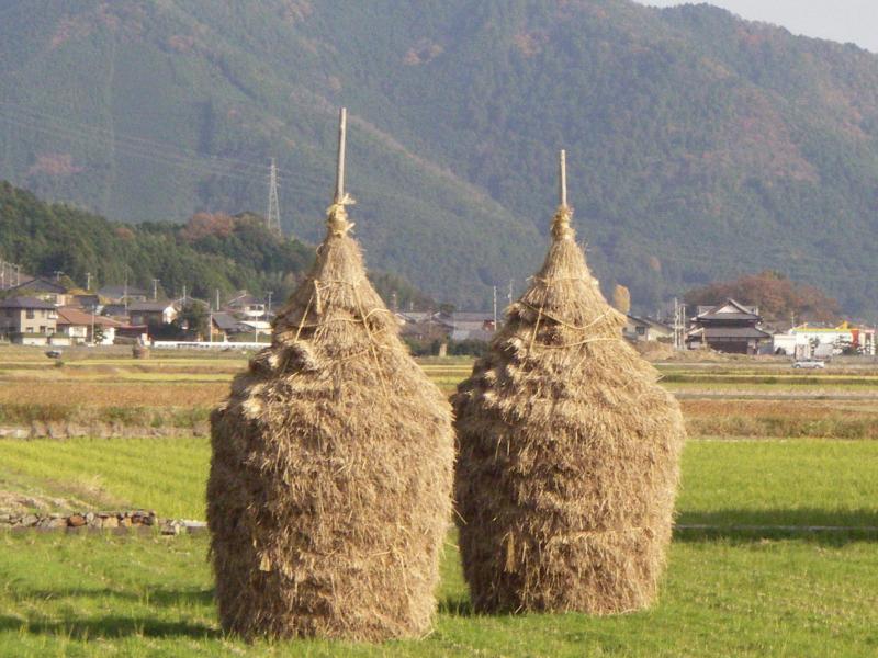 waraguro