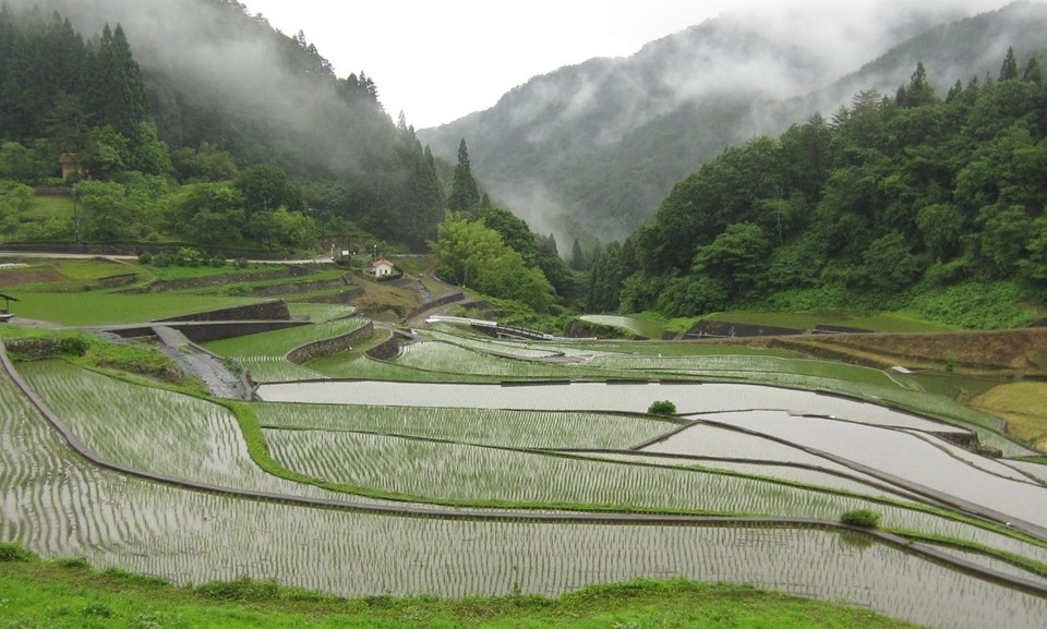 「つなぐ棚田遺産~ふるさとの誇りを未来へ~」に認定された井仁の棚田