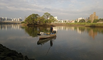 しじみ1