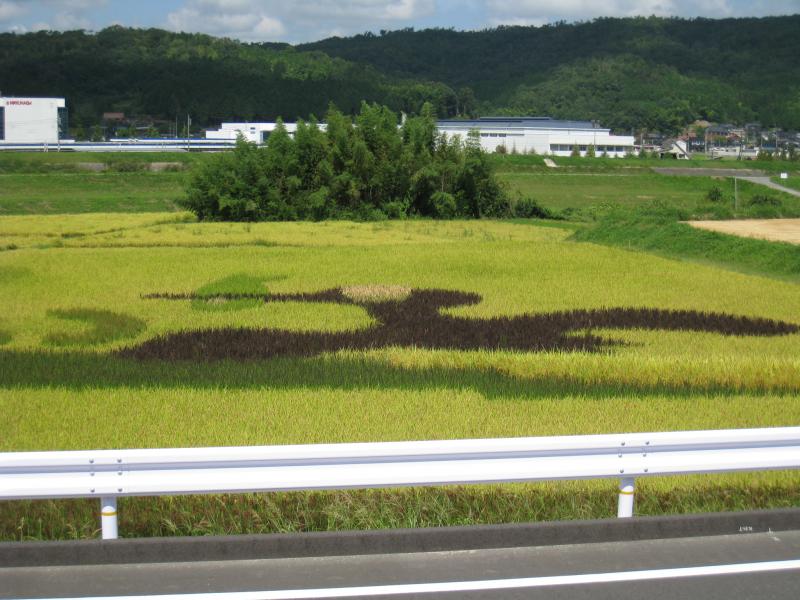 田んぼアート　「三次のうかい」　平成20年9月8日