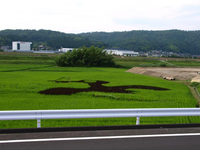 田んぼアート「三次のうかい」平成20年7月10日