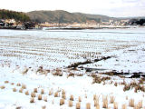 田園の雪景色
