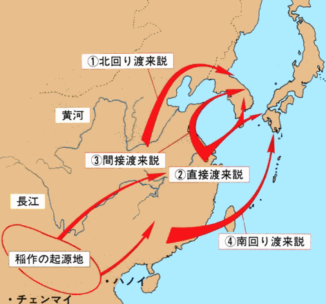 お米はどこから来たの