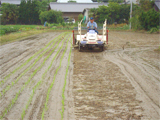 さぬき市 さぬきよいまいの田植え作業 平成19年6月18日