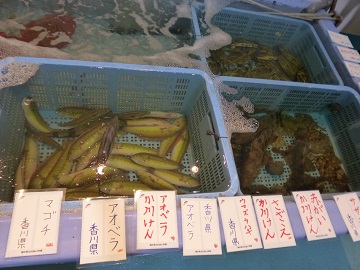 魚市場3