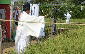 新嘗祭1