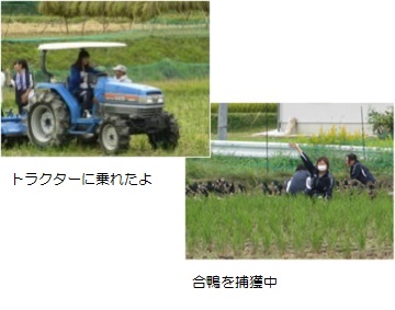 農業体験3