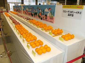 食と農4