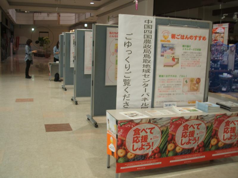 展示の様子