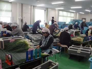 包装センターの見学