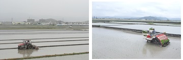 高知田植3