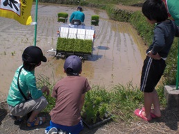150524田植え機