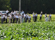 山口県農林総合技術センター試験圃場2