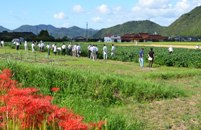 山口県農林総合技術センター試験圃場3