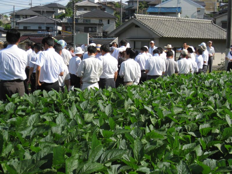 試験圃場見学