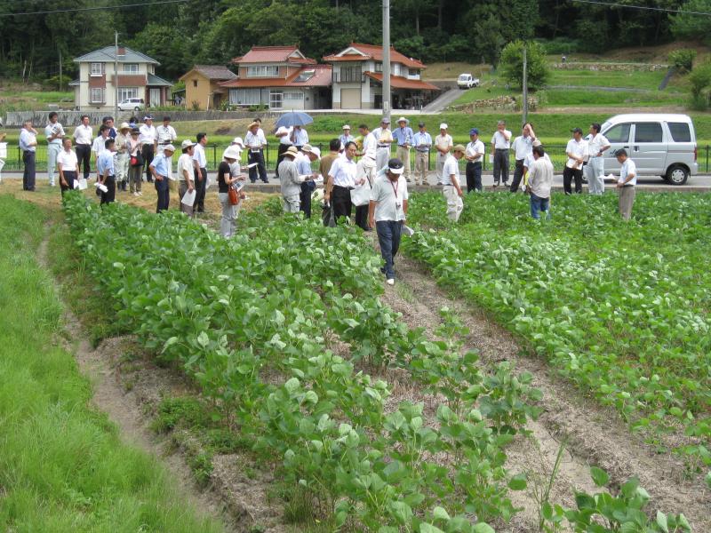 農事組合法人さわやか田打圃場